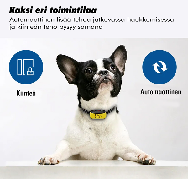 Karusellikuva
