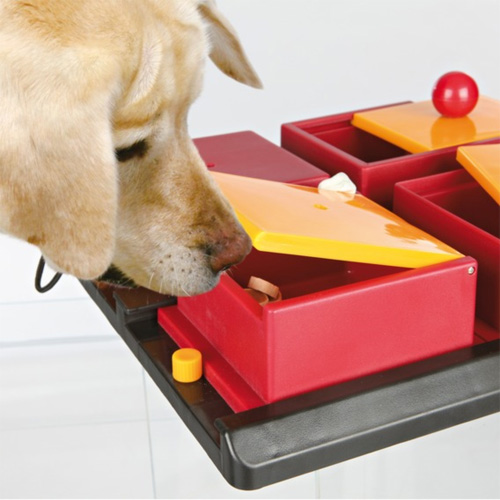 Lisäkuva Trixie Dog Activity Poker Box