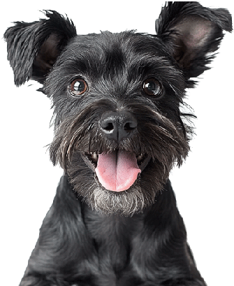 Annan sinulle vinkkejä ja apua tilausten kanssa! t: Minna