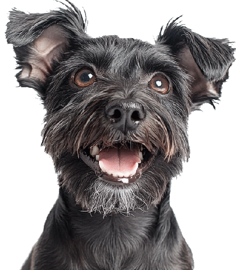 Annan sinulle vinkkejä ja apua tilausten kanssa! t: Minna