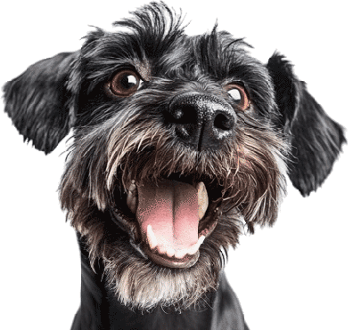 Annan sinulle vinkkejä ja apua tilausten kanssa! t: Minna